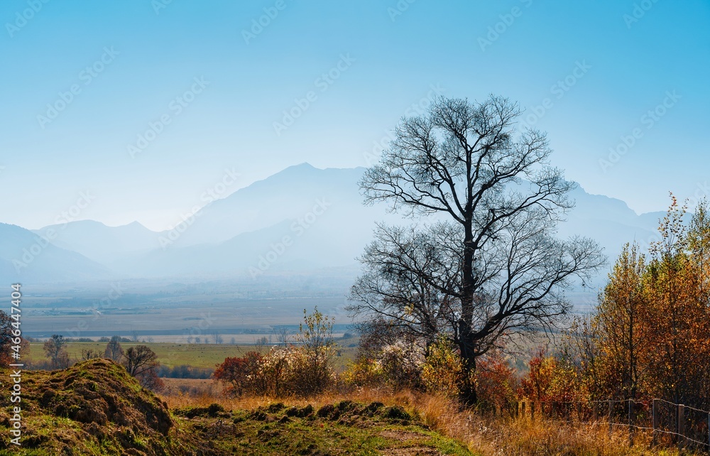 landscape with trees and mountain during autumn landscape with trees and mountain during autumn