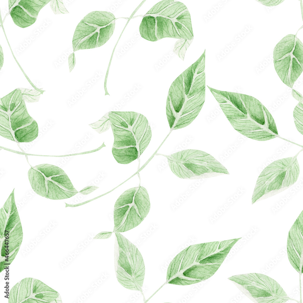 Fototapeta premium Delicate green leaves. Watercolor illustration for wallpaper, wrapping paper, textiles.