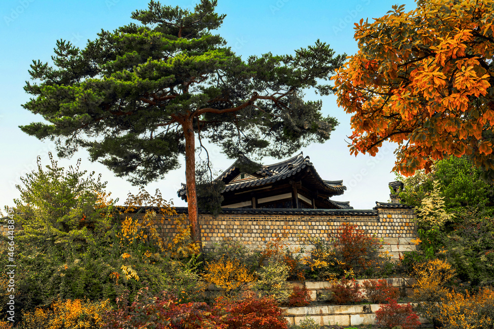 Autumn in the palace(Changdeokgung), Seoul, Korea Autumn in the palace(Changdeokgung), Seoul, Korea