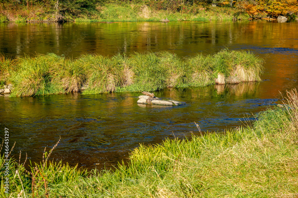 The rain is a tributary of the Danube and flows through the Bavarian Forest, photographed in autumn The rain is a tributary of the Danube and flows through the Bavarian Forest, photographed in autumn