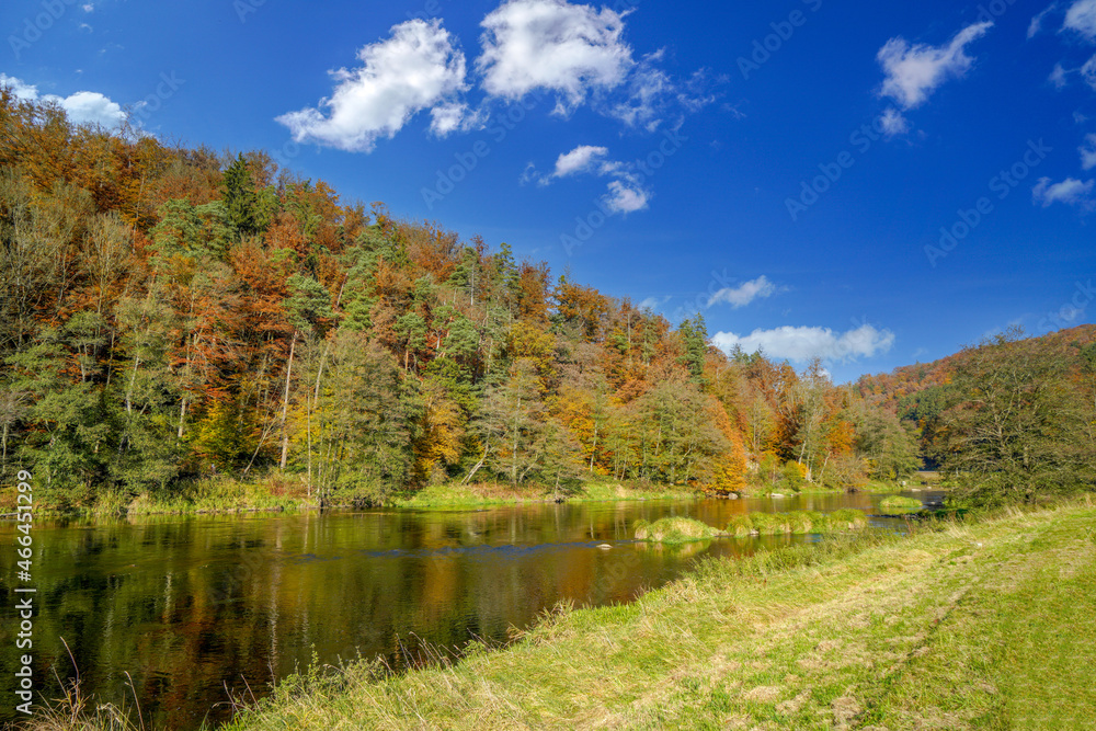 The rain is a tributary of the Danube and flows through the Bavarian Forest, photographed in autumn