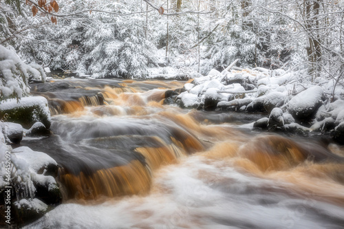 Scenic view of stream flowing in forest