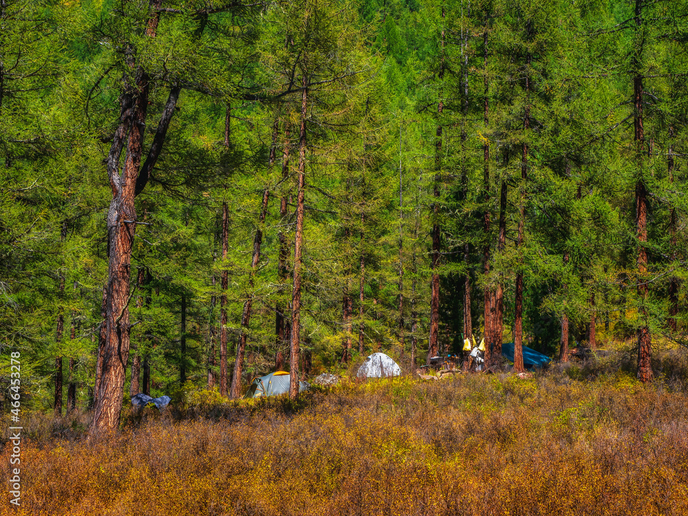 Fototapeta premium Expedition camp in the autumn taiga. Camping in the mountain autumn landscape with colorful forest.