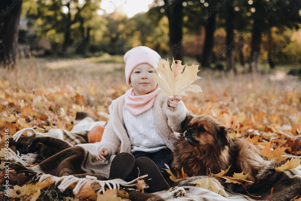 Cute girl with her red haired dog in the autumn park. Child and the pet. Little friend. Сozy autumn photo of a girl with pumpkins outdoors.