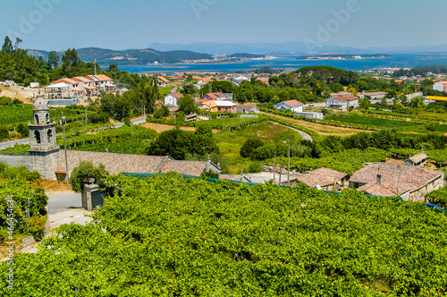 Vista de Sanxenxo desde una zona de viñedos de Alvariño, Pontevedra, Galicia.