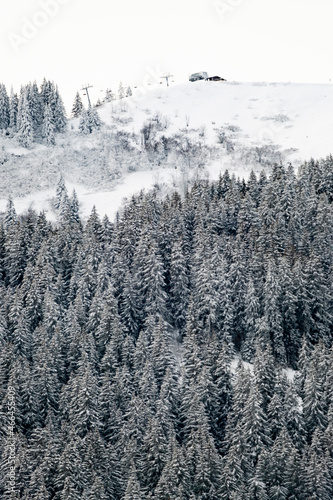 Forêt de sapins en montagne dominée par un télésiège photo