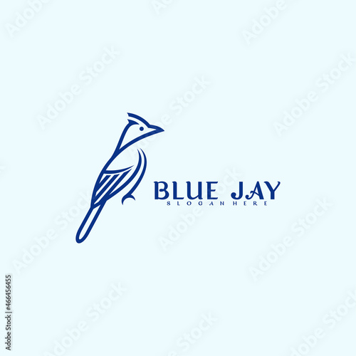 Blue jay bird logo vector design. Modern creative design