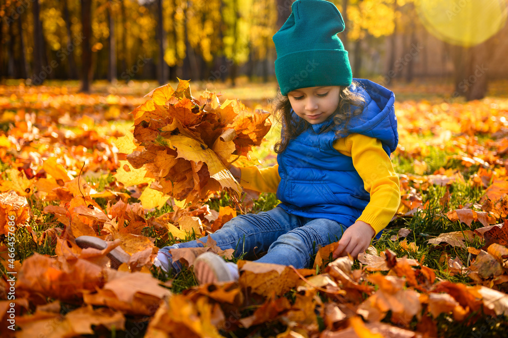 Cute little adorable child girl in bright clothes plays with yellow autumn leaves and collects simple bouquet of dry fallen maple leaves with beautiful sunbeams falling on autumn forest park at sunset Cute little adorable child girl in bright clothes plays with yellow autumn leaves and collects simple bouquet of dry fallen maple leaves with beautiful sunbeams falling on autumn forest park at sunset