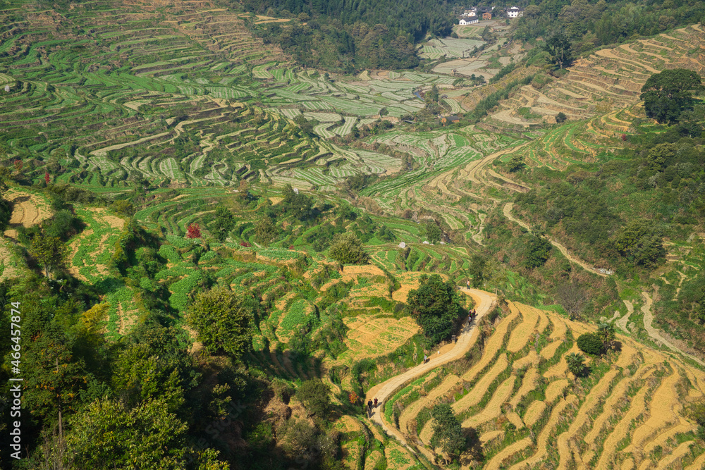 In the valley, the curved terraces are clearly defined. An ancient Huizhou architectural settlement in Huangling Village, Wuyuan, Jiangxi, China.