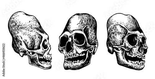 Graphical set of Mayan skulls isolated on white, long skull of ancient tribe, vector illustration, .Paleontological artifact