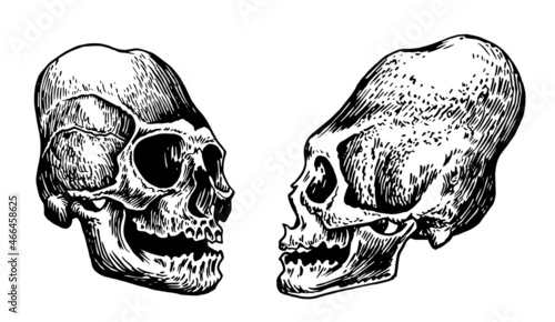 Graphical set of Mayan skulls isolated on white, long skull of ancient tribe, vector illustration, .Paleontological artifact