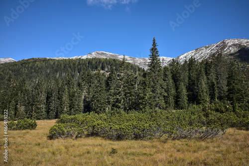 Veduta di montagna con foresta in primo piano, Dolomiti zona del Comelico
