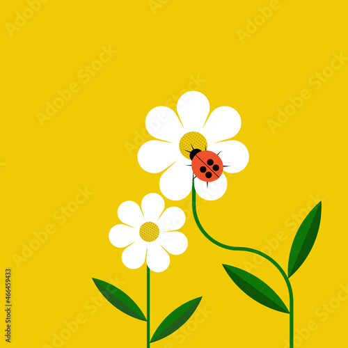 Illustration of a ladybug sitting on white flower