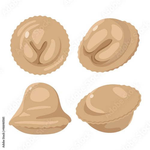 Frozen pelmeni vector cartoon set isolated on a white background.