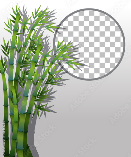 Nature plants frame transparent background