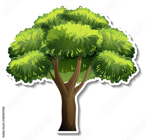 Tree sticker on white background