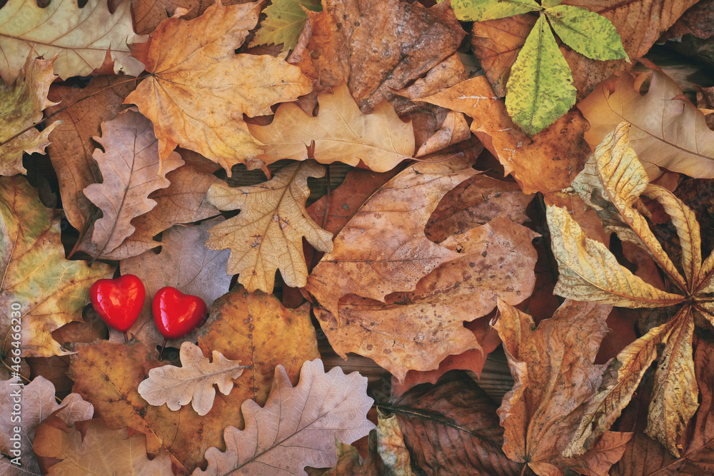 Bunch of various dry autumn leaves, two red hearts Bunch of various dry autumn leaves, two red hearts