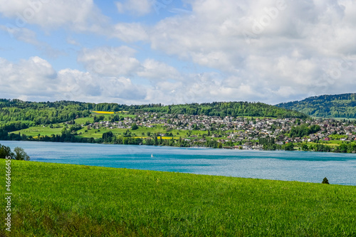 Beinwil  Hallwilersee  See  Seeufer  Seeuferweg  Naturschutzgebiet  Dorf  Meisterschwanden  Naturschutzgebiet  Schifffahrt  Aargau  Sommer  Schweiz