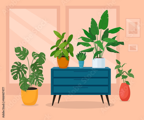 Different indoor plants in the interior. Houseplants in pots stand on a turquoise commode in the living room. Vector illustration 