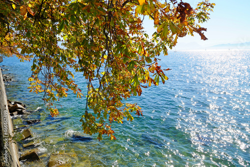 Fototapeta Naklejka Na Ścianę i Meble -  Sunny October day in Lindau on emerald-green lake Constance (Bodensee, Germany)