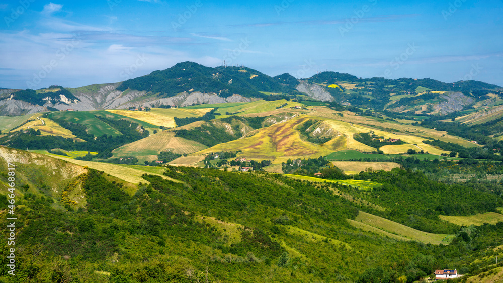 Fototapeta premium Rural landscape on the hills near Imola and Riolo Terme