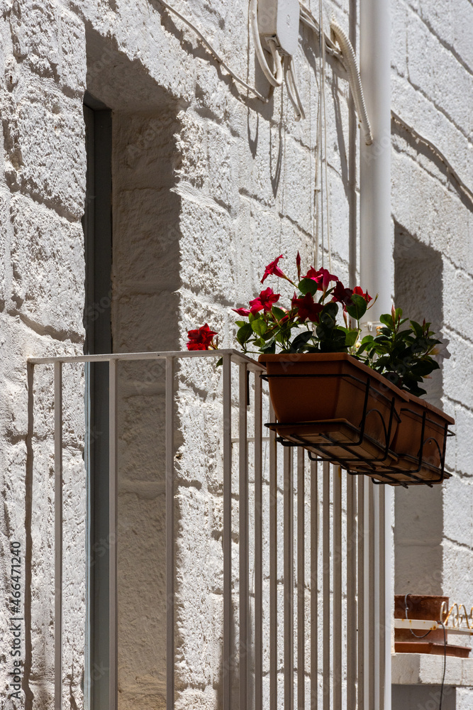 Puglia - Salento - Il Balconcino Bianco e Rosso