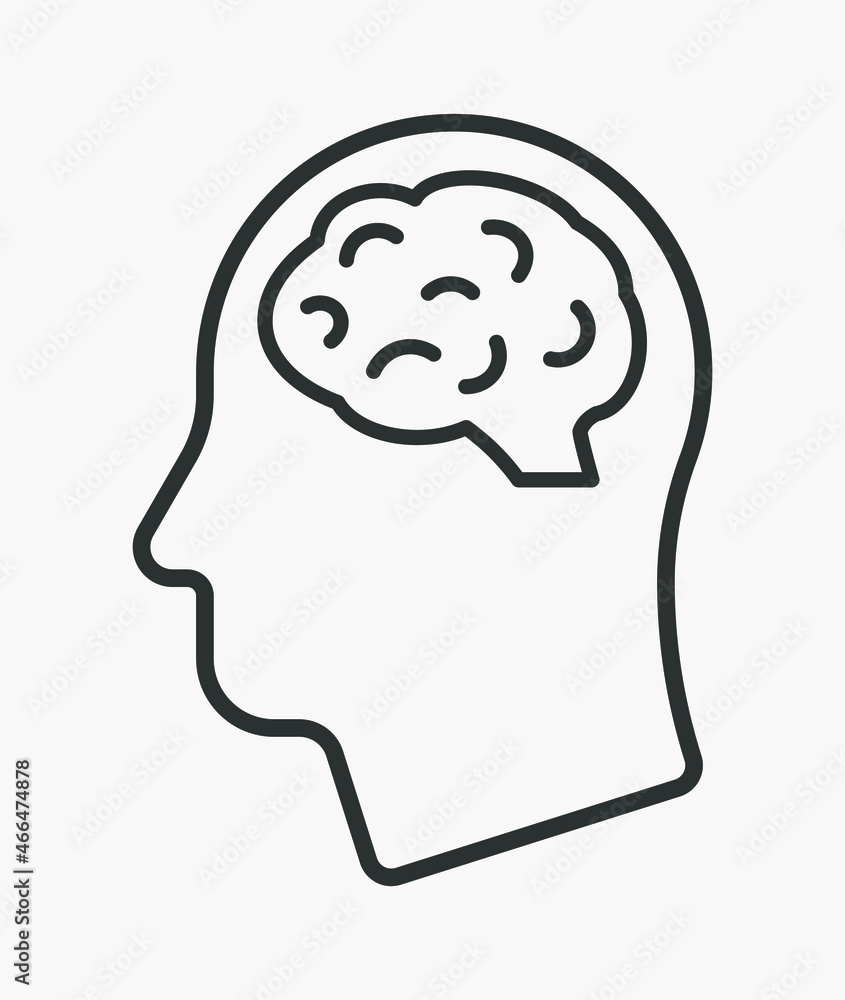 Human head with the brain vector line icon isolated on white background. Human head with the brain vector line icon isolated on white background.