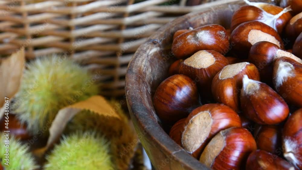 Close-up of freshly picked chestnuts inside a wooden bowl with blurred green hedgehogs in the background. October, Chestnut harvest time. Typical fresh autumn fruits. Close-up of freshly picked chestnuts inside a wooden bowl with blurred green hedgehogs in the background. October, Chestnut harvest time. Typical fresh autumn fruits.
