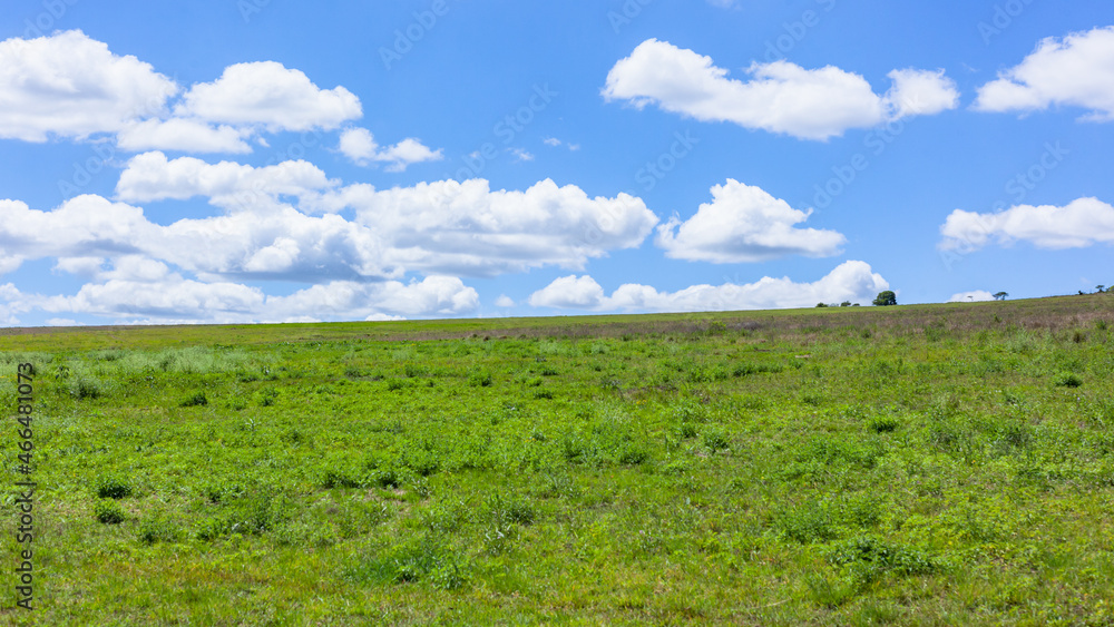 Summer Green Grasslands Clouds Blue Scenic Natural Landscape