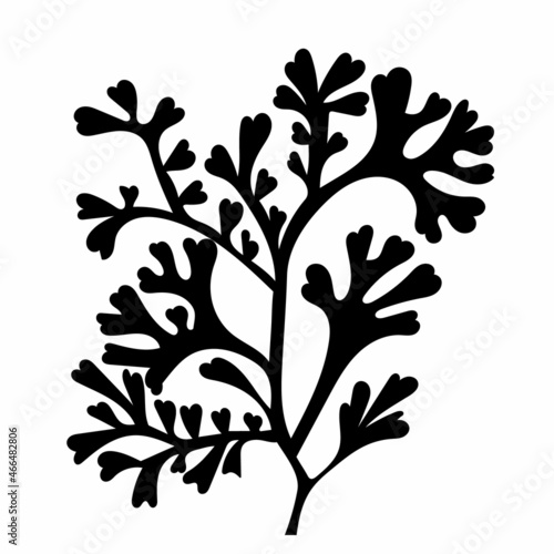 black silhouette seaweed, isolated, vector