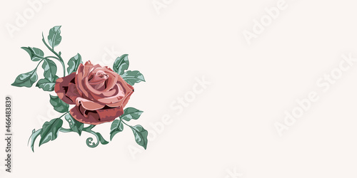 Floral banner arranged from leaves and red rose.