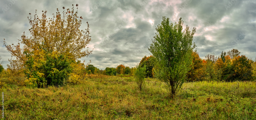 Fototapeta premium Herbst im Berliner Naturschutzgebiet