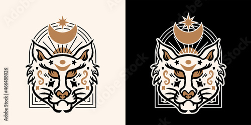 Magical Beast Illustration of Cat