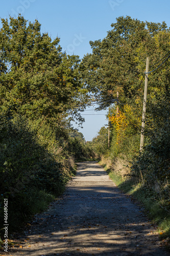 Waldweg zum Feld