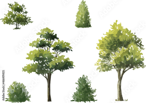 Vector of watercolor tree side view isolated on white background for landscape and architecture layout drawing  elements for environment and garden