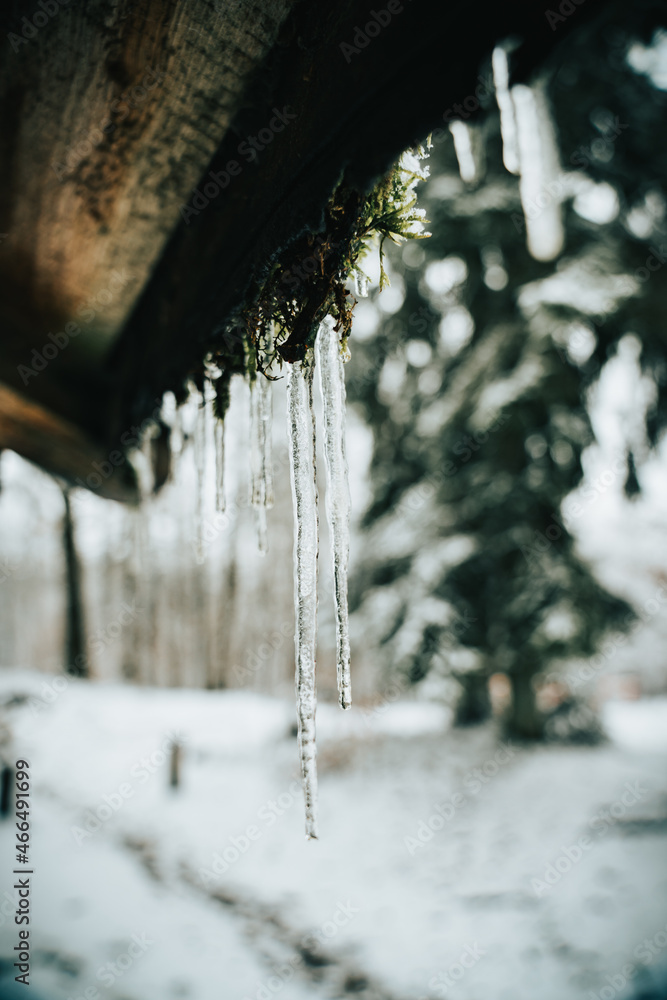 Ice Drops Ice Drops