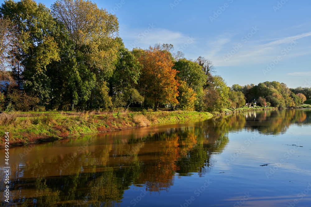 trees with beautiful autumn foliage reflect in the water of the canal Strohauser Sieltief in Stadland-Rodenkirchen (Germany)