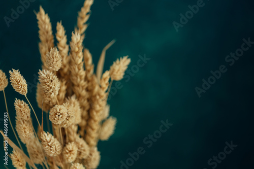 Bouquet of beautiful dried flowers on dark green blue background. Home decoration concept. Copyspace.
