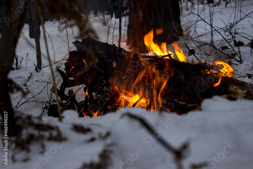 bonfire in the forest © Yulianna Rudkovskay