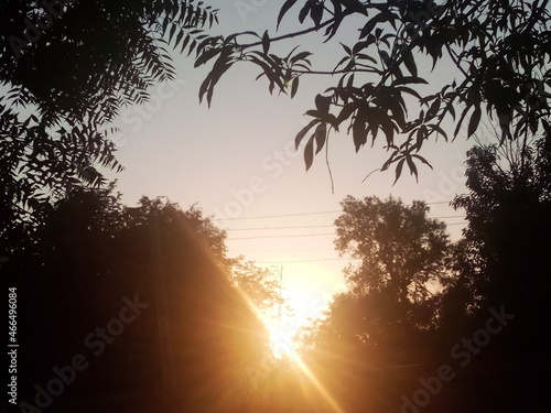 beautiful sunset in between of trees at badin sindh on 1 november 2021 at 6:00 pm 