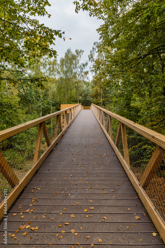 Footbridge among trees over small Szklarka river