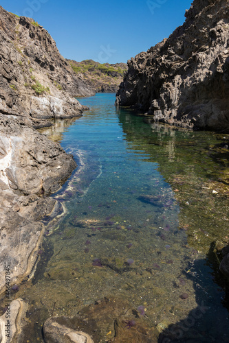 plague of jellyfish on the coast of cap de creus on the costa brava in summer