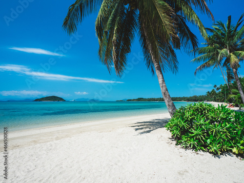 Fototapeta Naklejka Na Ścianę i Meble -  Scenic view of white sand beach tropical island with turquoise water and coconut palm tree. Koh Mak Island, Trat, Thailand.