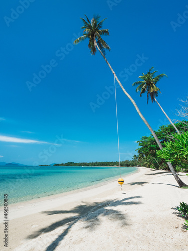 Fototapeta Naklejka Na Ścianę i Meble -  Scenic view of white sand beach tropical island with turquoise water and iconic coconut palm tree with buoy swing. Koh Mak Island, Trat, Thailand.