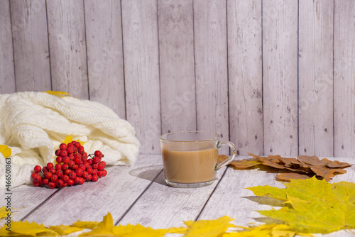 warm autumn mood, mountain ash on the table