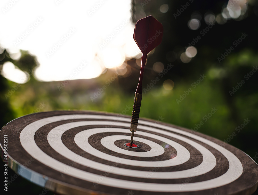 Dart dashes into the Dartboard. as a business goal Dart dashes into the Dartboard. as a business goal