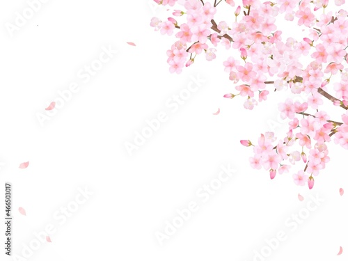 美しく華やかな満開の桜の花と花びら舞い散る春のフレームベクター素材イラスト 