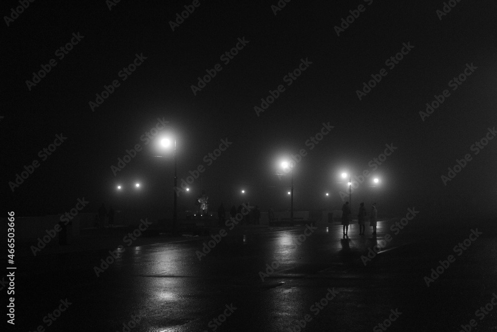 Fototapeta premium black and white city