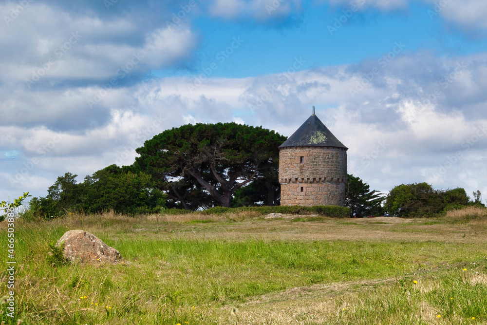 old castle in the field