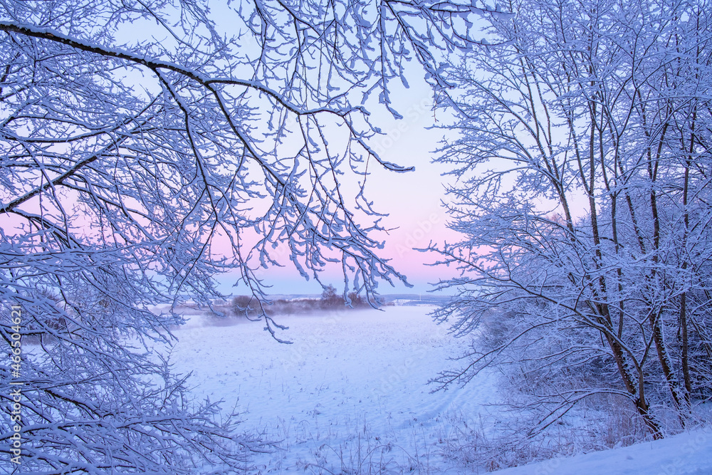 Fototapeta premium Morning light with frost and snow in a rural landscape